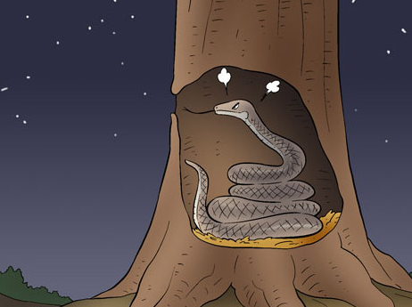 邪恶色系军团：树上的蛇