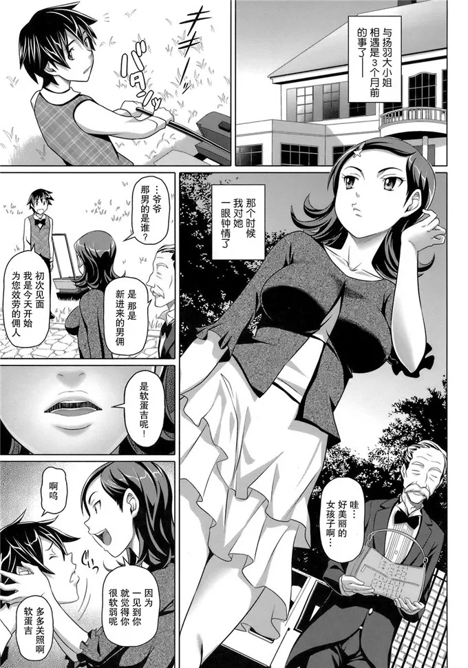 羽鸟美玲和丸山葵邪恶校园漫画：ヴァージンき