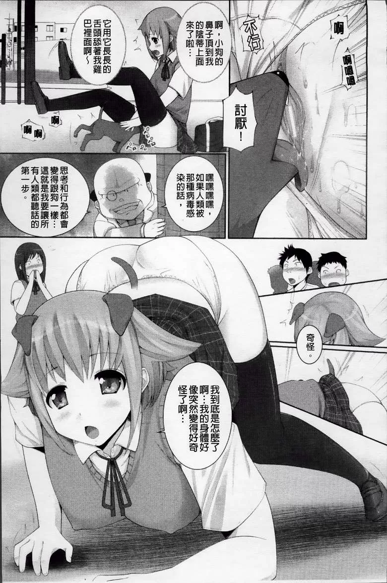 无翼之鸟漫画舰长