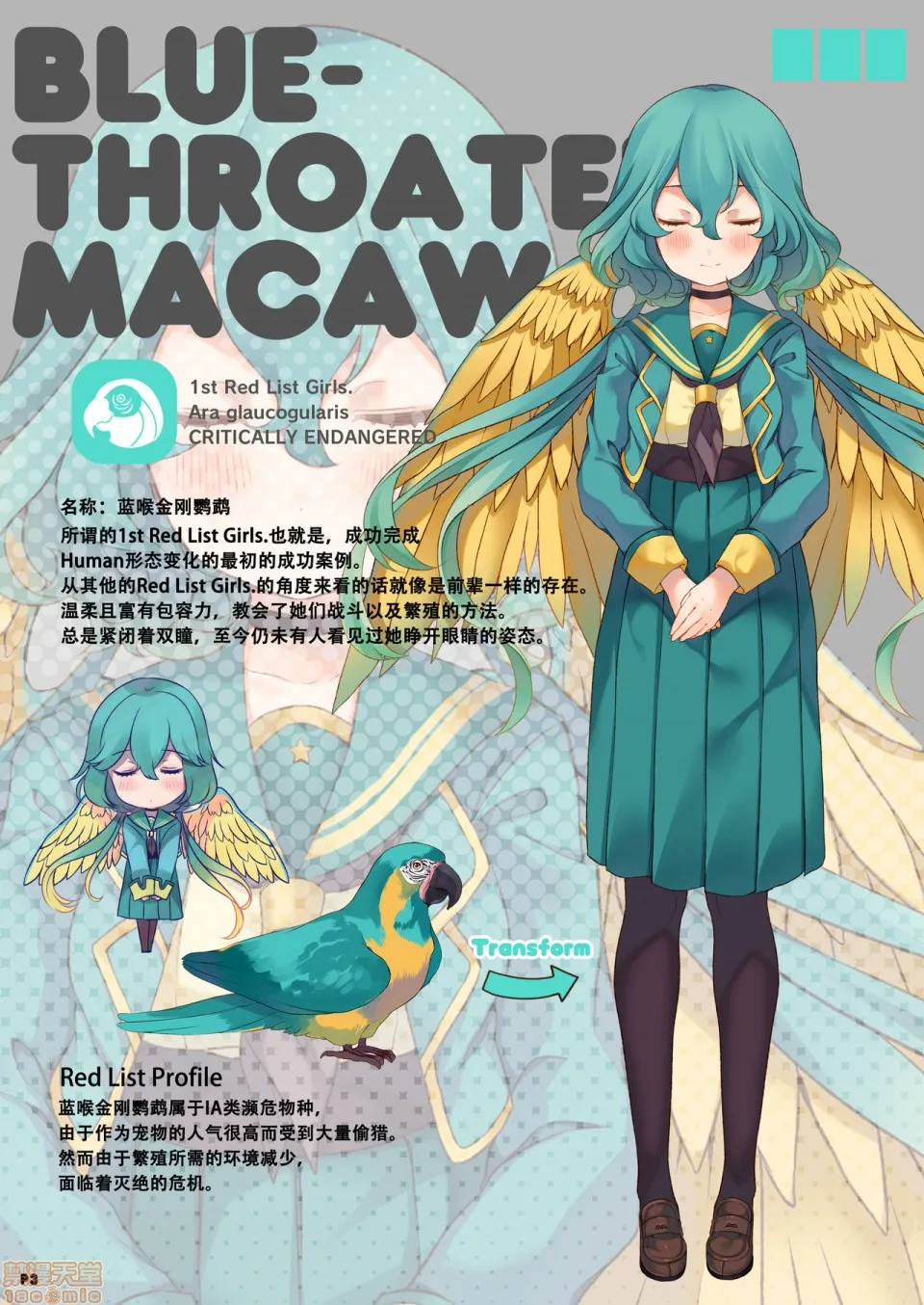 本子库全彩无遮挡无翼乌MACAW;EDUCATION