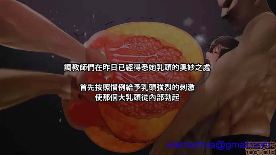 无翼乌全彩工口侵犯HNARITAVol.2