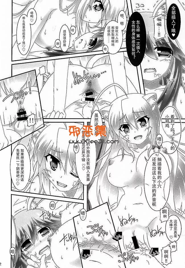 动漫本子之h少女漫画：王子的剑