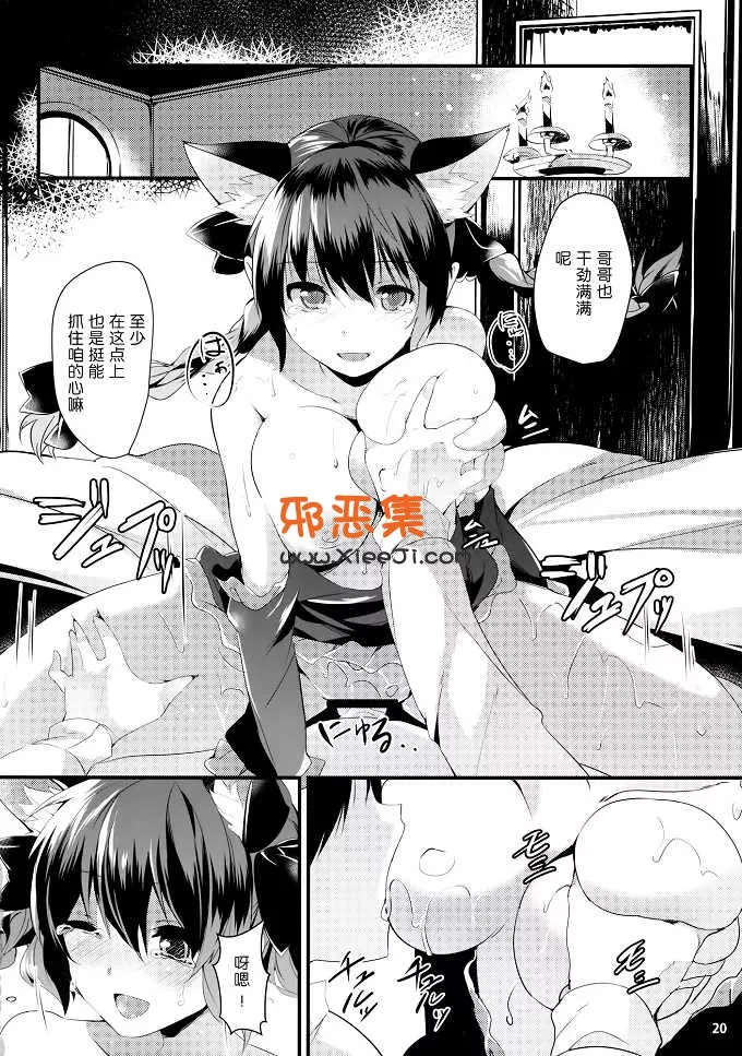 (例大祭11)动漫本子之猫的心情不定形 (東方Project)