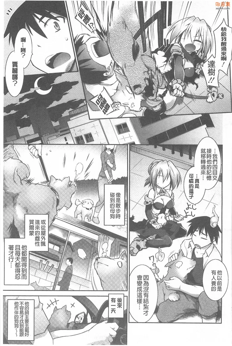 无翼鸟漫画全集