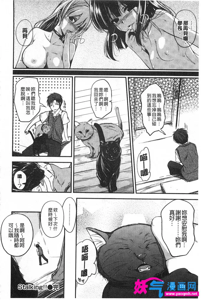 邪恶少女漫画之交尾宣言