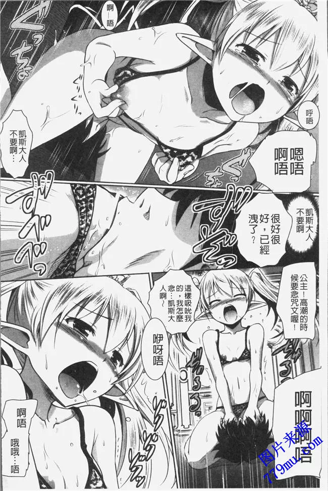 本子库污漫画：国の宮廷魔導師